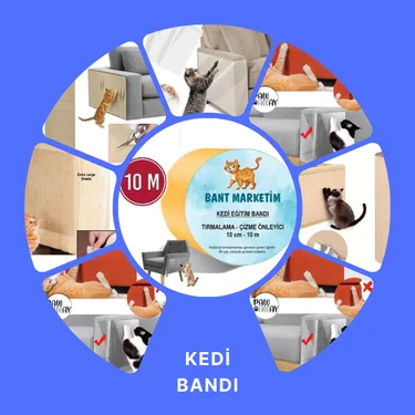 Kedi Bandı